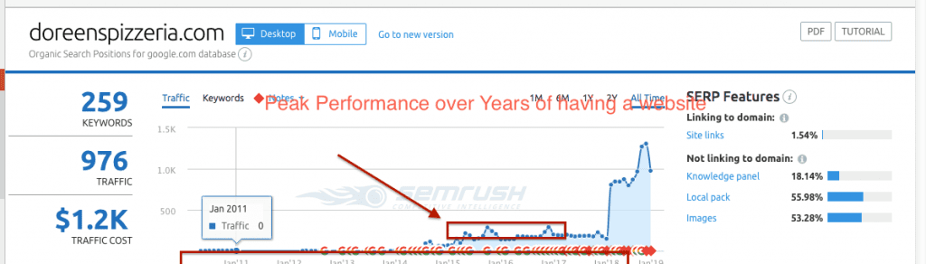 SEO Client